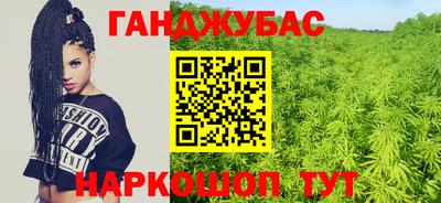прущие грибы Краснознаменск