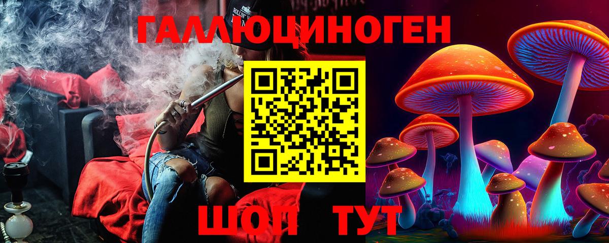 Чернушка  Псилоцибиновые грибы Cubensis  Галлюциногенные грибы GOLDEN TEACHER  Вход с VPN 
